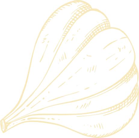 Forma decorativa de ajo