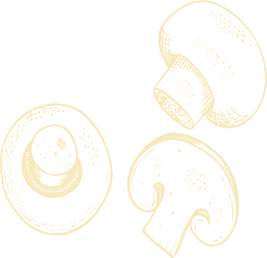 Forma decorativa de hongos