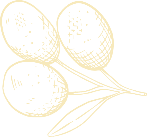 Forma decorativa de oliva
